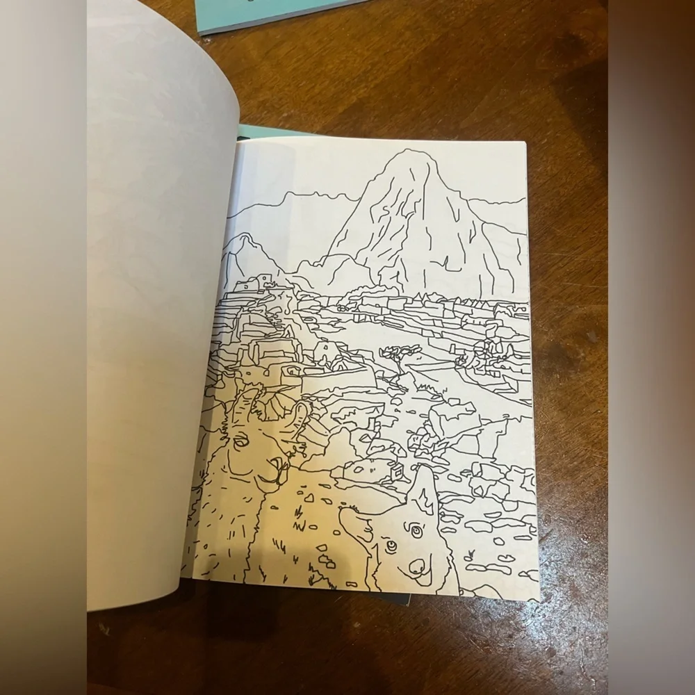 Set of 5 Corgis Coloring Books